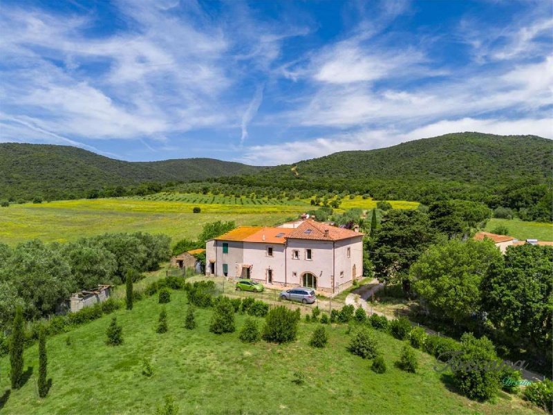 Apartment in Scarlino