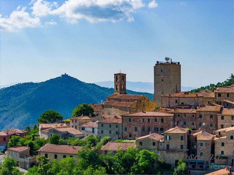 Detached house in Castelnuovo di Val di Cecina