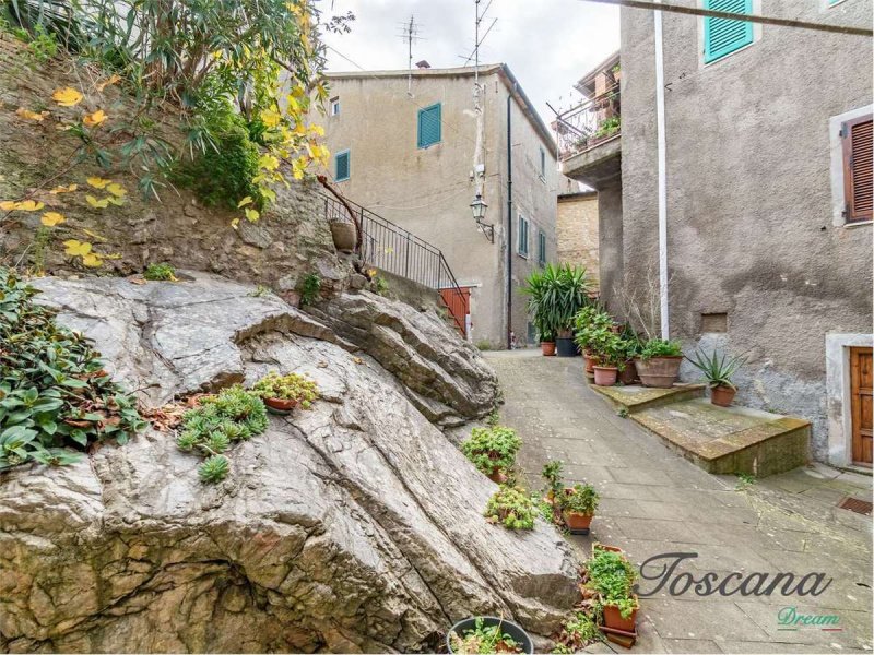 Lägenhet i Castelnuovo di Val di Cecina