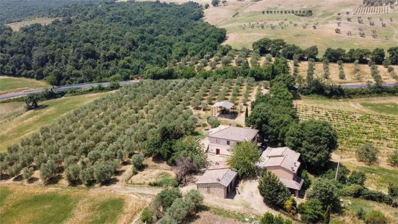 Azienda agricola a San Quirico d'Orcia