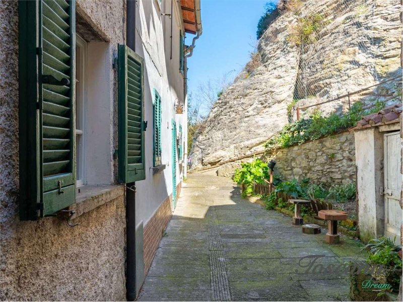 Apartment in Castelnuovo di Val di Cecina