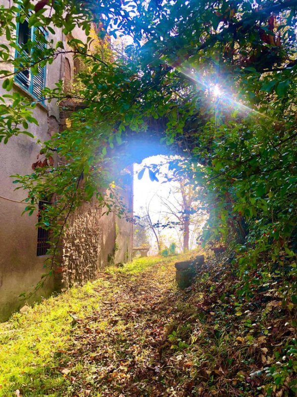 Bauernhaus in Ambivere