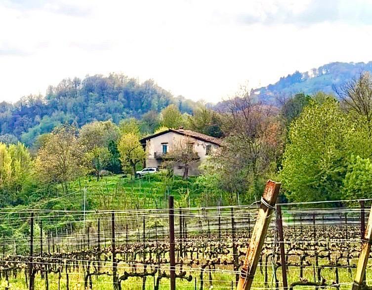 Bauernhaus in Ambivere