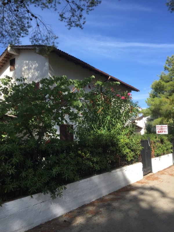 Таунхаус в Торкиара