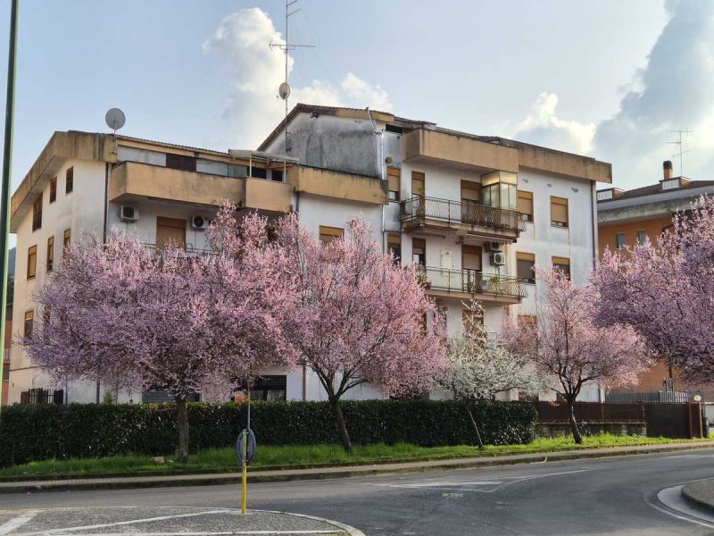 Apartamento em Colleferro