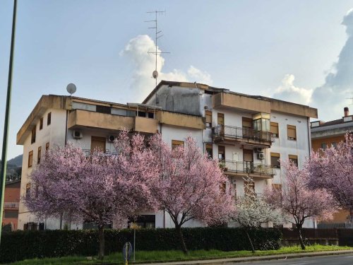 Wohnung in Colleferro