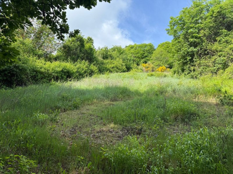 Agricultural land in Artena