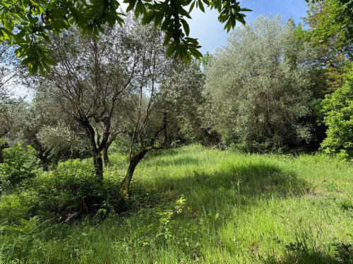 Agricultural land in Artena
