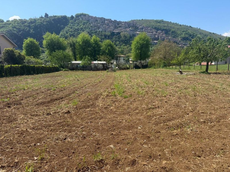 Terreno edificable en Artena