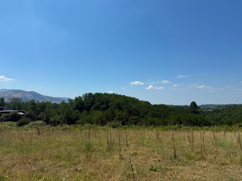 Landwirtschaftliche Fläche in Artena
