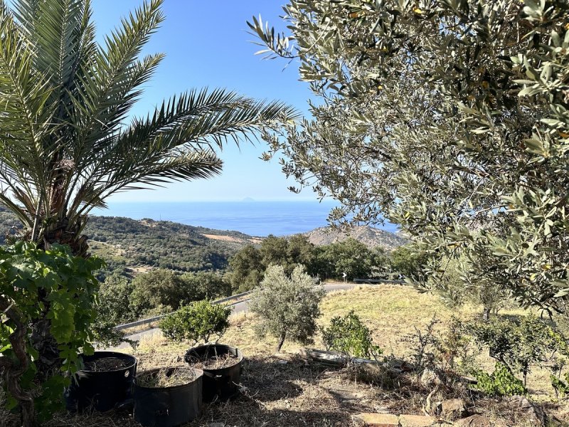 Особняк в Туза