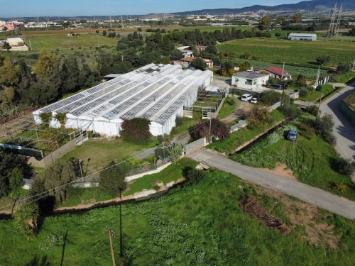 Exploitation agricole à Quartucciu