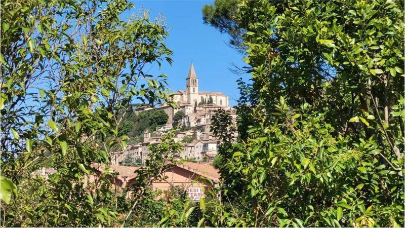 Farmhouse in Todi
