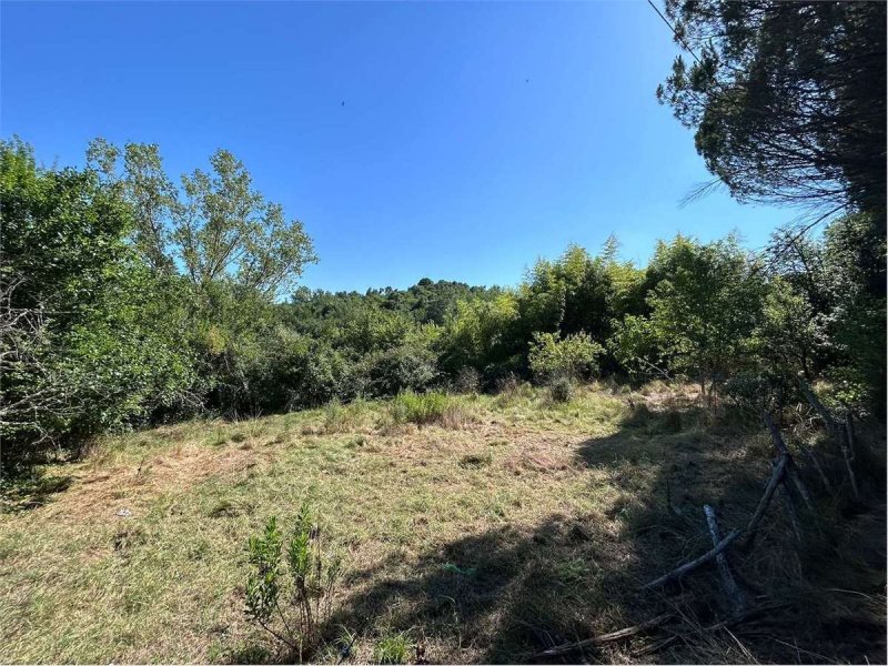 Building plot in Roccastrada