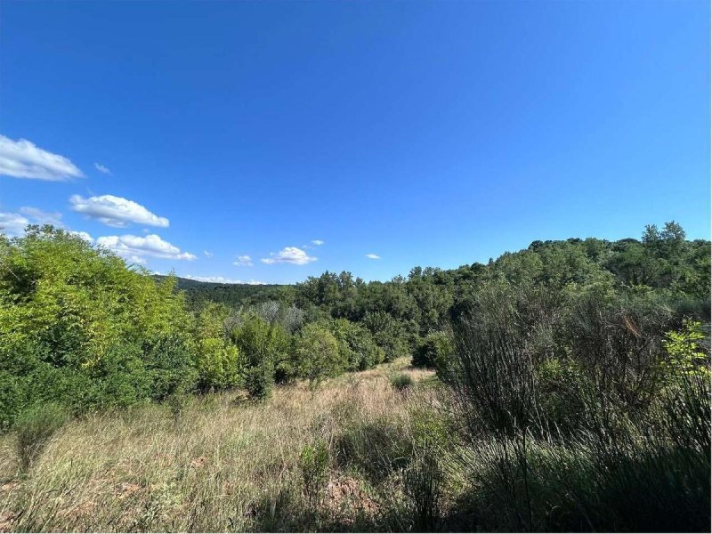 Building plot in Roccastrada