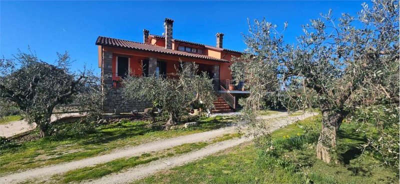 Exploitation agricole à Todi