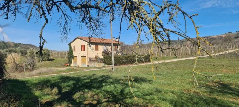 Terrain agricole à Orvieto