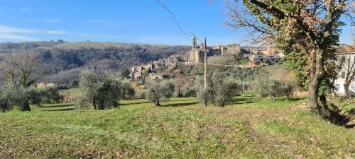 Terrain agricole à Orvieto