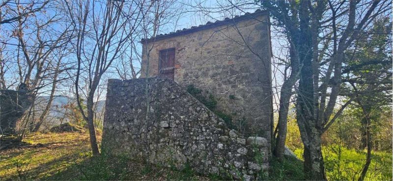 Cabaña en Roccastrada