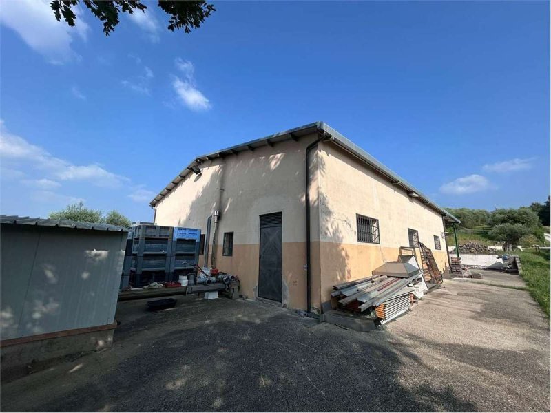 Terreno agricolo a Castel del Piano