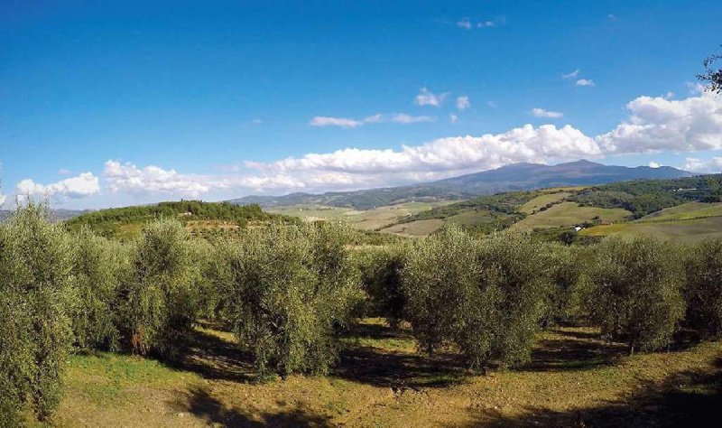 Terreno agricolo a Castel del Piano
