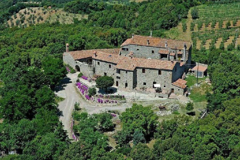 Maison jumelée à Roccastrada