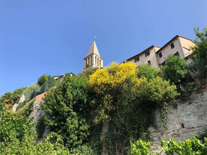 Чердак в Тоди