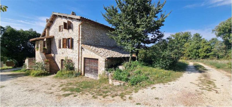 Lantställe i Massa Martana