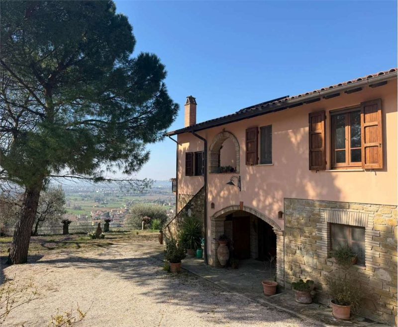 Lantställe i Assisi