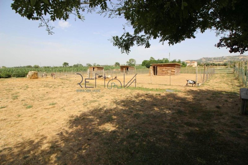 Farm in Roseto degli Abruzzi