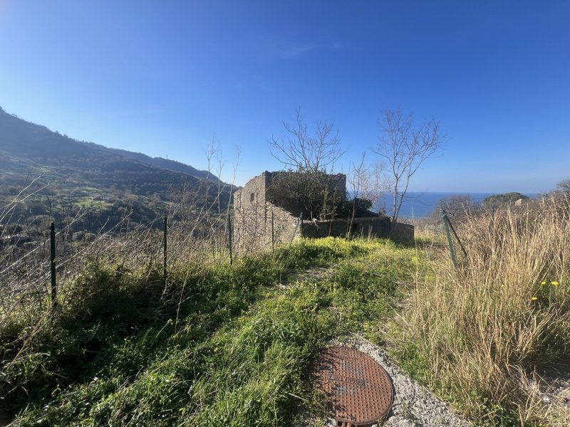 Casa de campo en Falconara Albanese