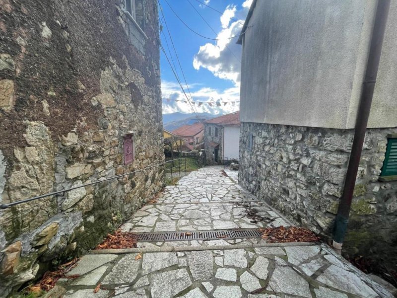 Top-to-bottom house in Maissana