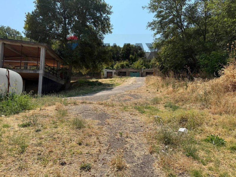 Сельский дом в Грассано