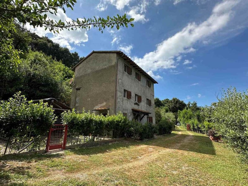 Bauernhaus in Sassetta