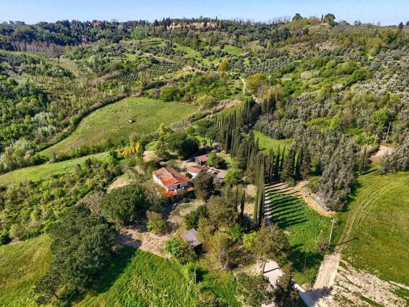 Ferme à Palaia