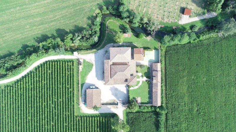 Ферма в Руда