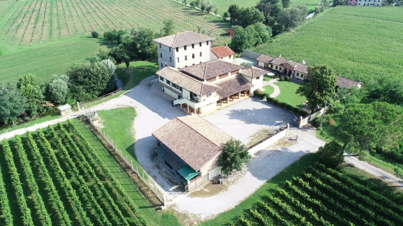 Ферма в Руда