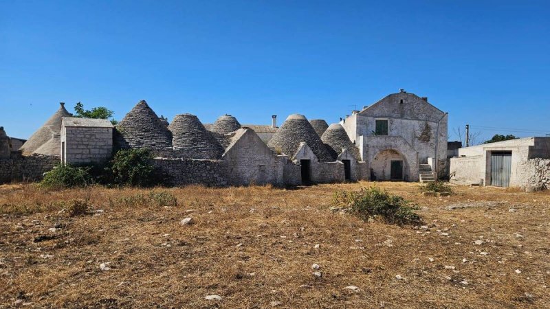Сельскохозяйственная ферма в Мартина-Франка