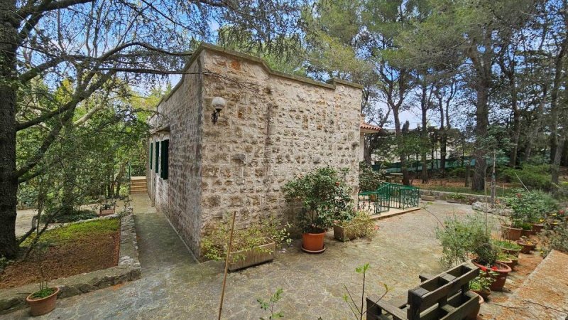 Villa in Fasano