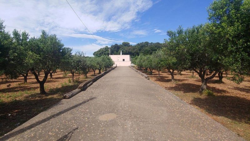 Farmhouse in Martina Franca