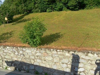 Terreno edificable en Gignod