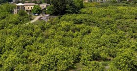 Bauernhaus in Giarre