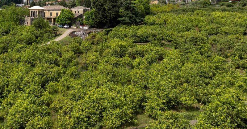 14 Bedrooms Farmhouse for sale in Giarre [798303] | Gate-away®