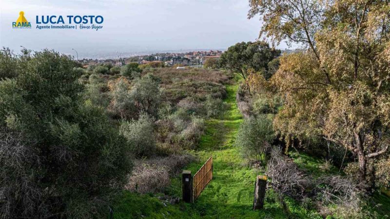 Jordbruksmark i San Gregorio di Catania