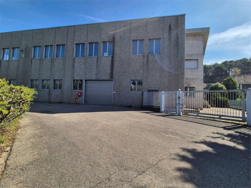 Коммерческая недвижимость в Ольтрона-ди-Сан-Маметте