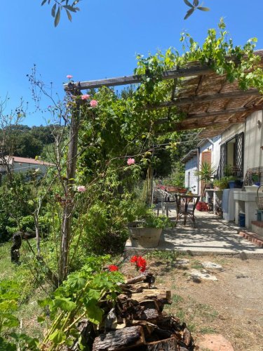 Casa di campagna a Buonvicino