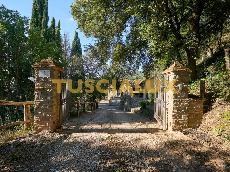 Отдельно стоящий дом в Лоро-Чуффенна