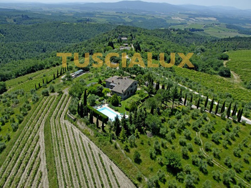 Landwirtschaftlicher Betrieb in Castellina in Chianti