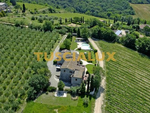 Ferme à Castellina in Chianti