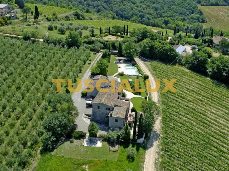 Ferme à Castellina in Chianti
